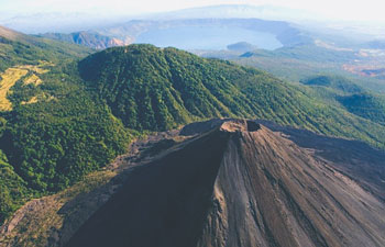 瓜地馬拉 安提瓜火山 茉莉 水洗